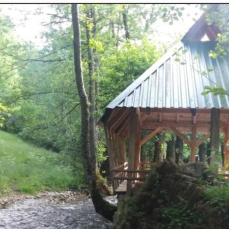 Eco Camp Dzogaska Vrela Hotell Pljevlja Exteriör bild
