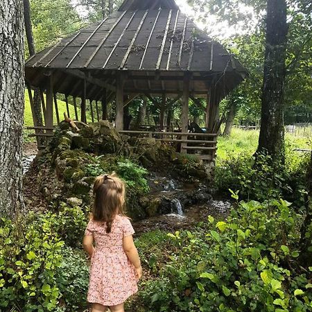 Eco Camp Dzogaska Vrela Hotell Pljevlja Exteriör bild