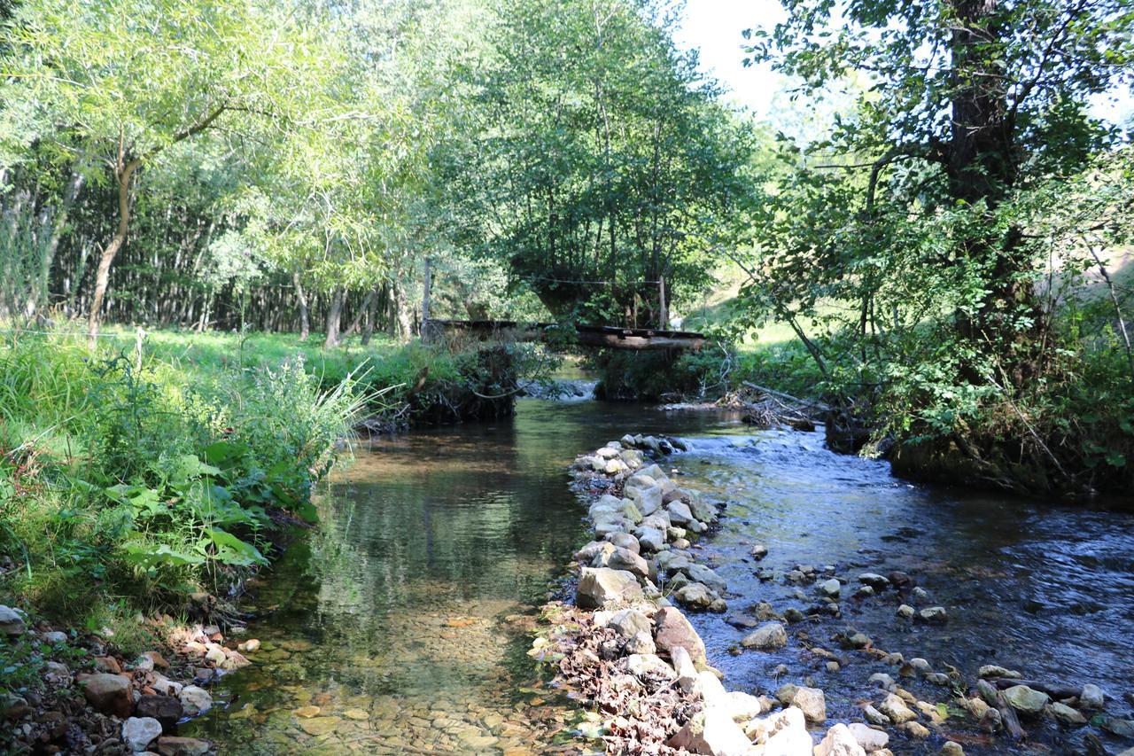Eco Camp Dzogaska Vrela Hotell Pljevlja Exteriör bild