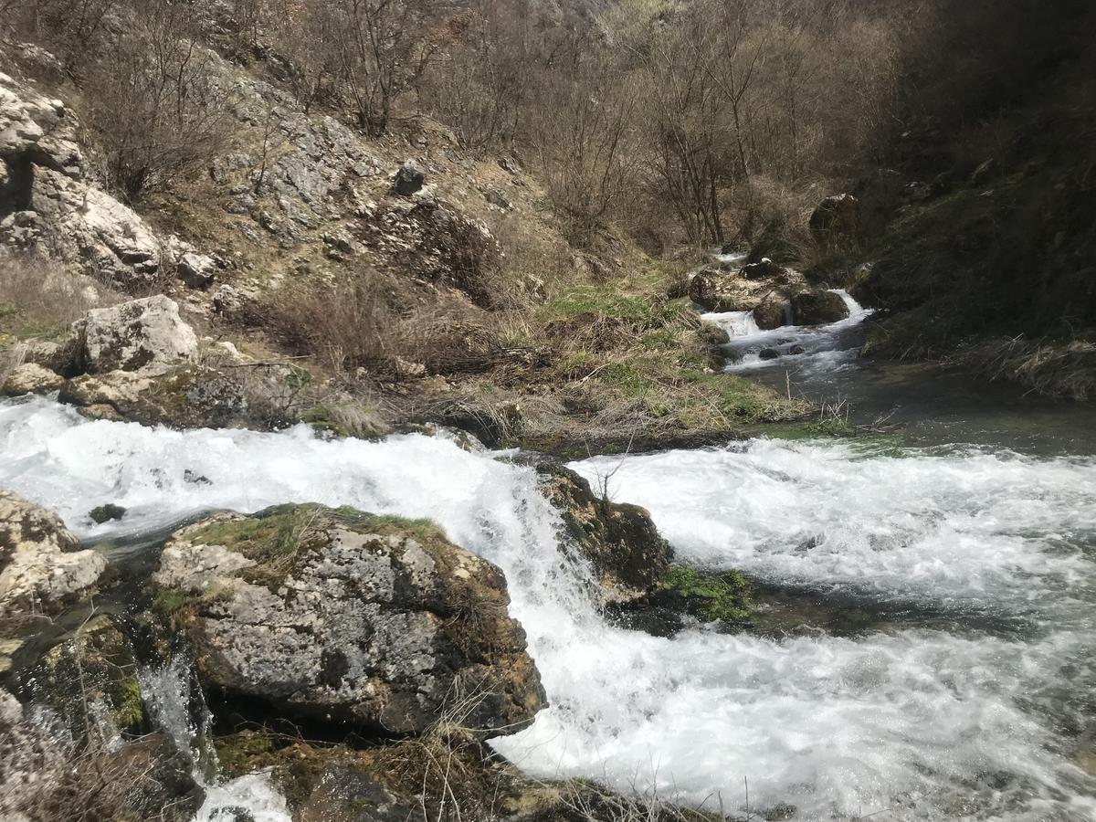 Eco Camp Dzogaska Vrela Hotell Pljevlja Exteriör bild