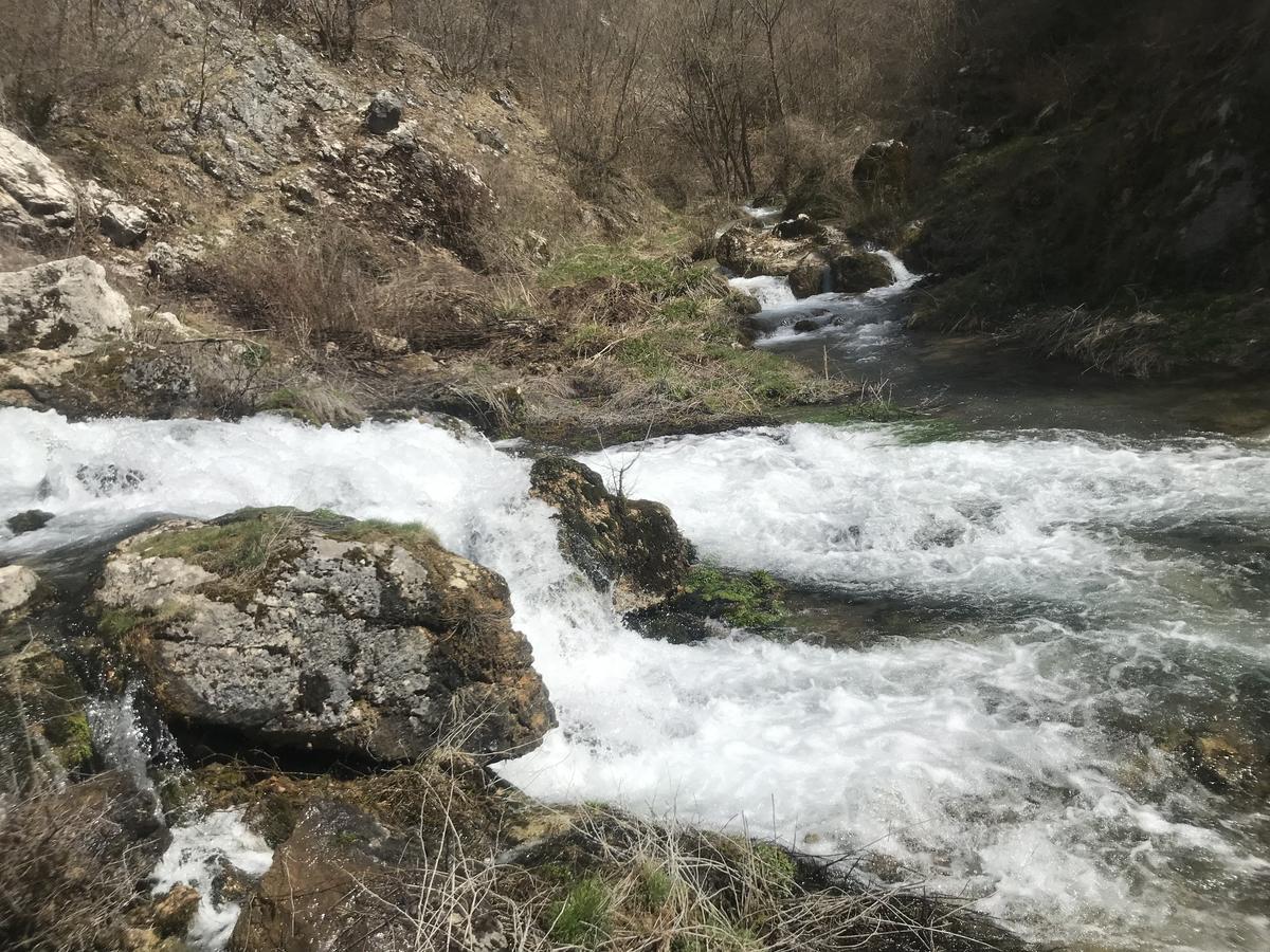 Eco Camp Dzogaska Vrela Hotell Pljevlja Exteriör bild