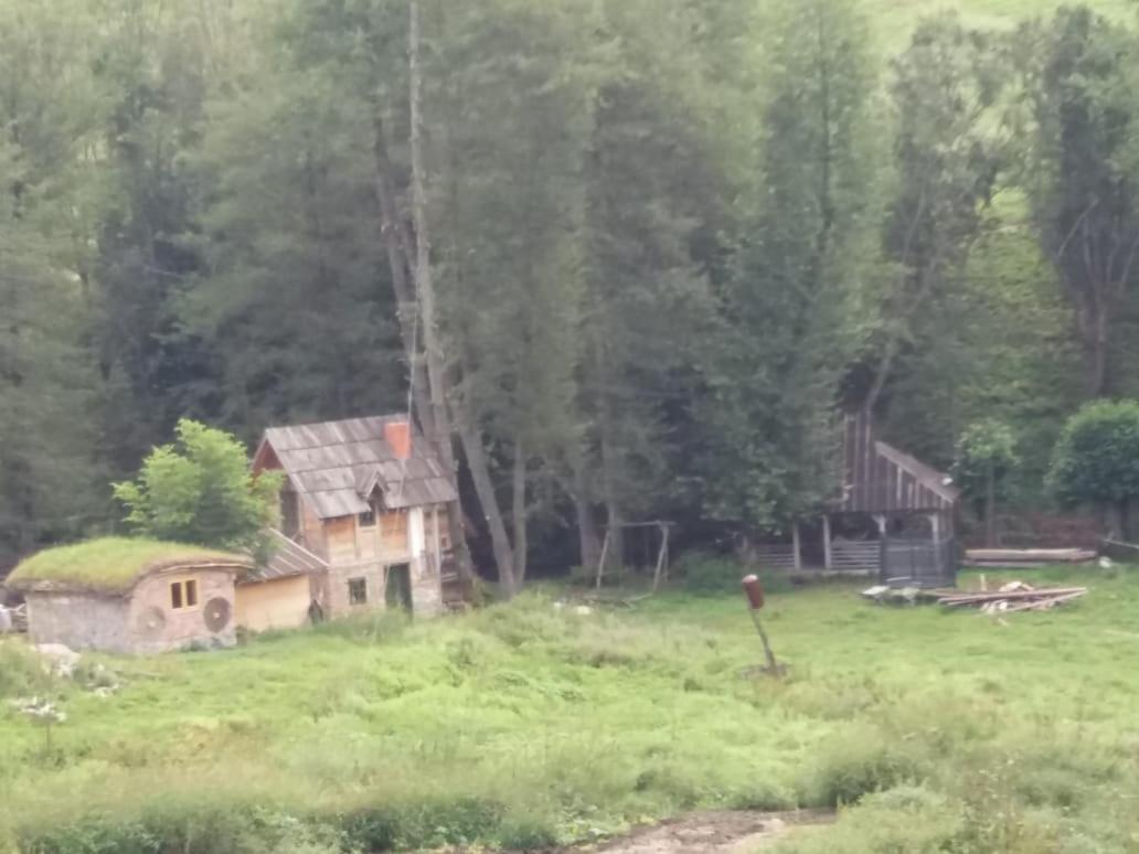 Eco Camp Dzogaska Vrela Hotell Pljevlja Exteriör bild