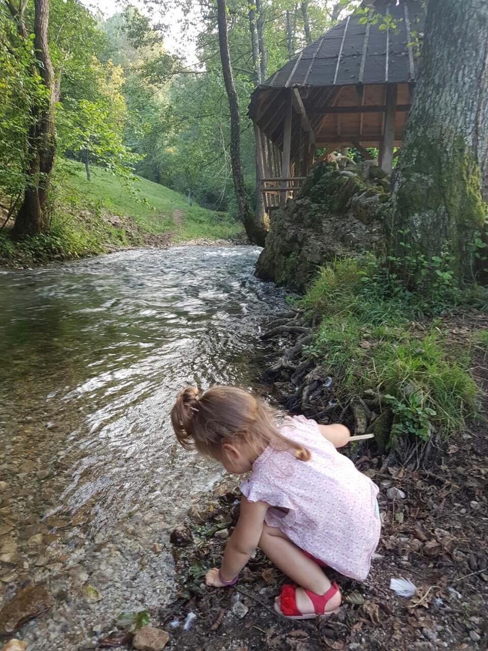 Eco Camp Dzogaska Vrela Hotell Pljevlja Exteriör bild